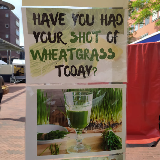 Wheatgrass Shots: The Green Elixir of Vitality and Wellness