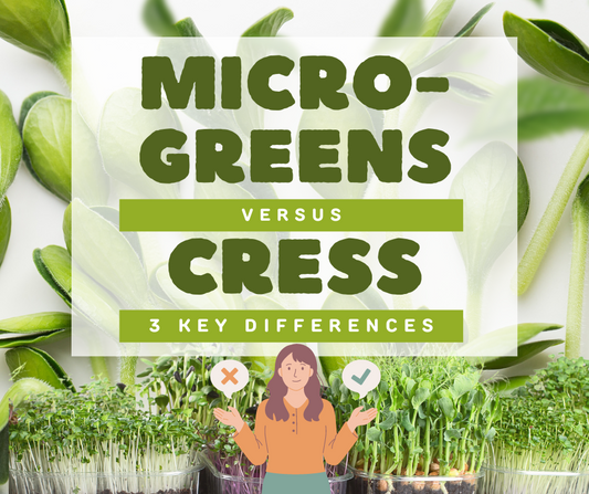 Discover the 3 Core Differences Between Microgreens & Cress