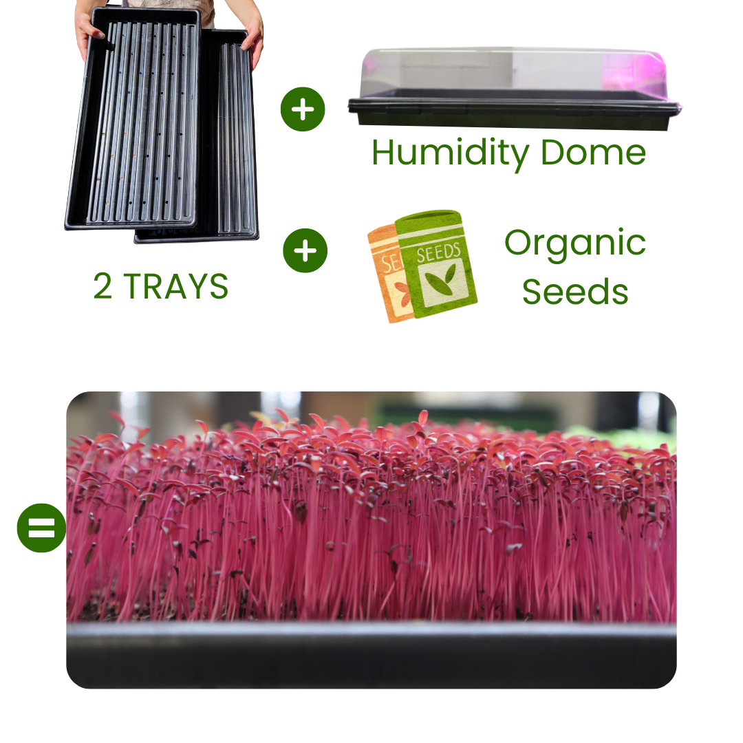 1020 Shallow Tray Set - Build Your Own Microgreen Kit
