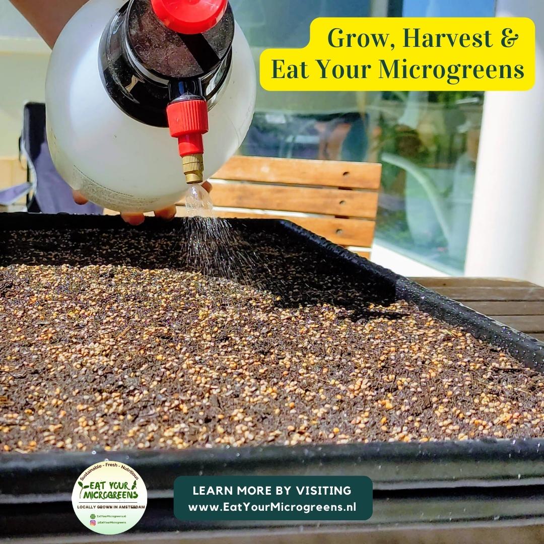 1020 Shallow Tray Set - Build Your Own Microgreen Kit