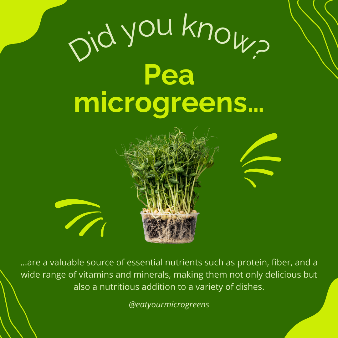 Green Pea Seeds