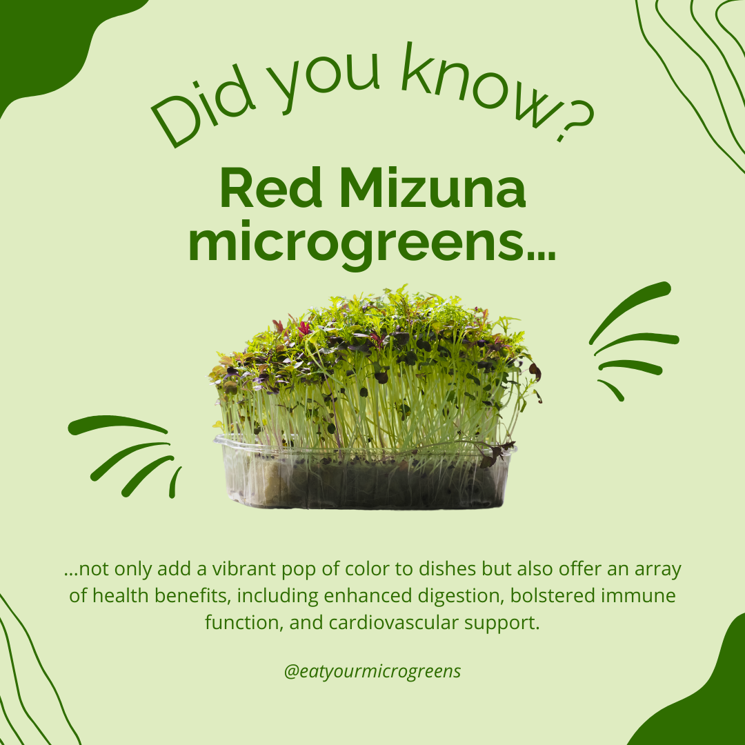 Kies je eigen Microgreen-zaden