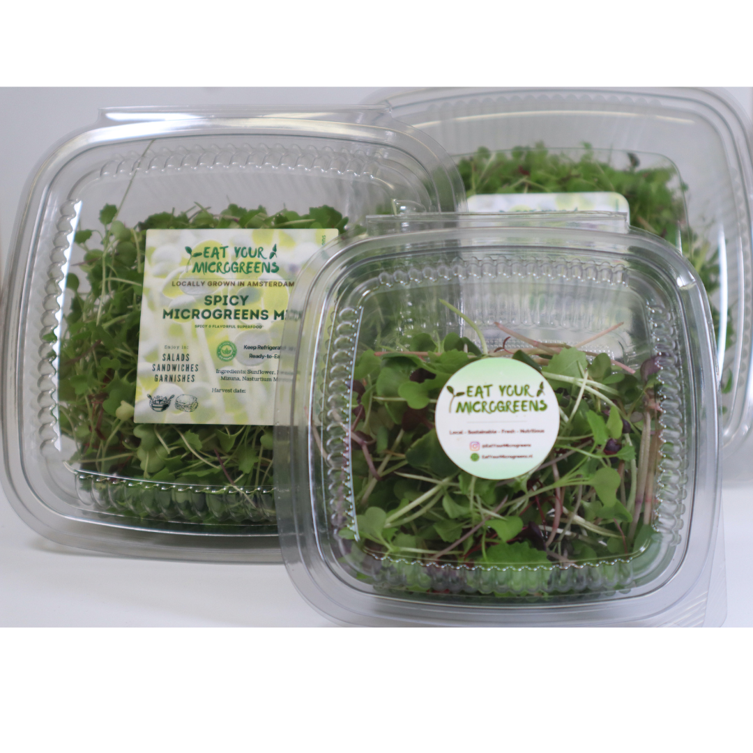 Healthy Salad Microgreens Mix - 3 sizes