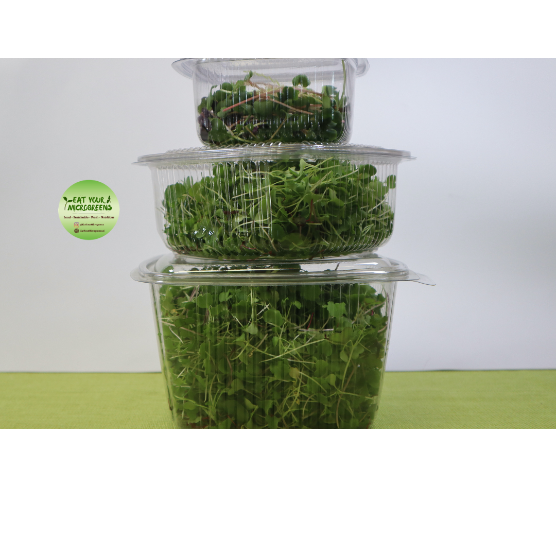 Healthy Salad Microgreens Mix - 3 sizes