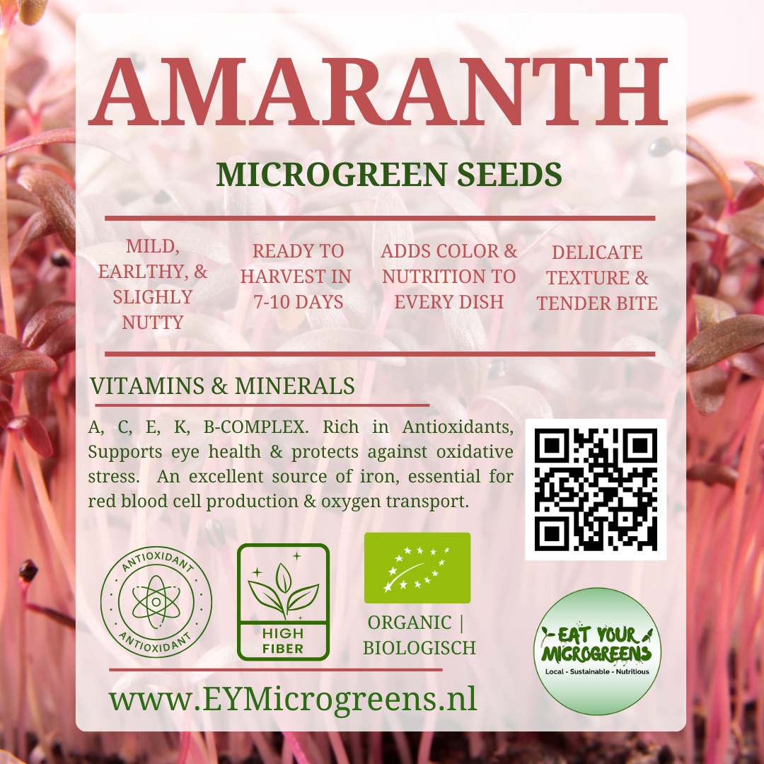 Amaranth Seeds