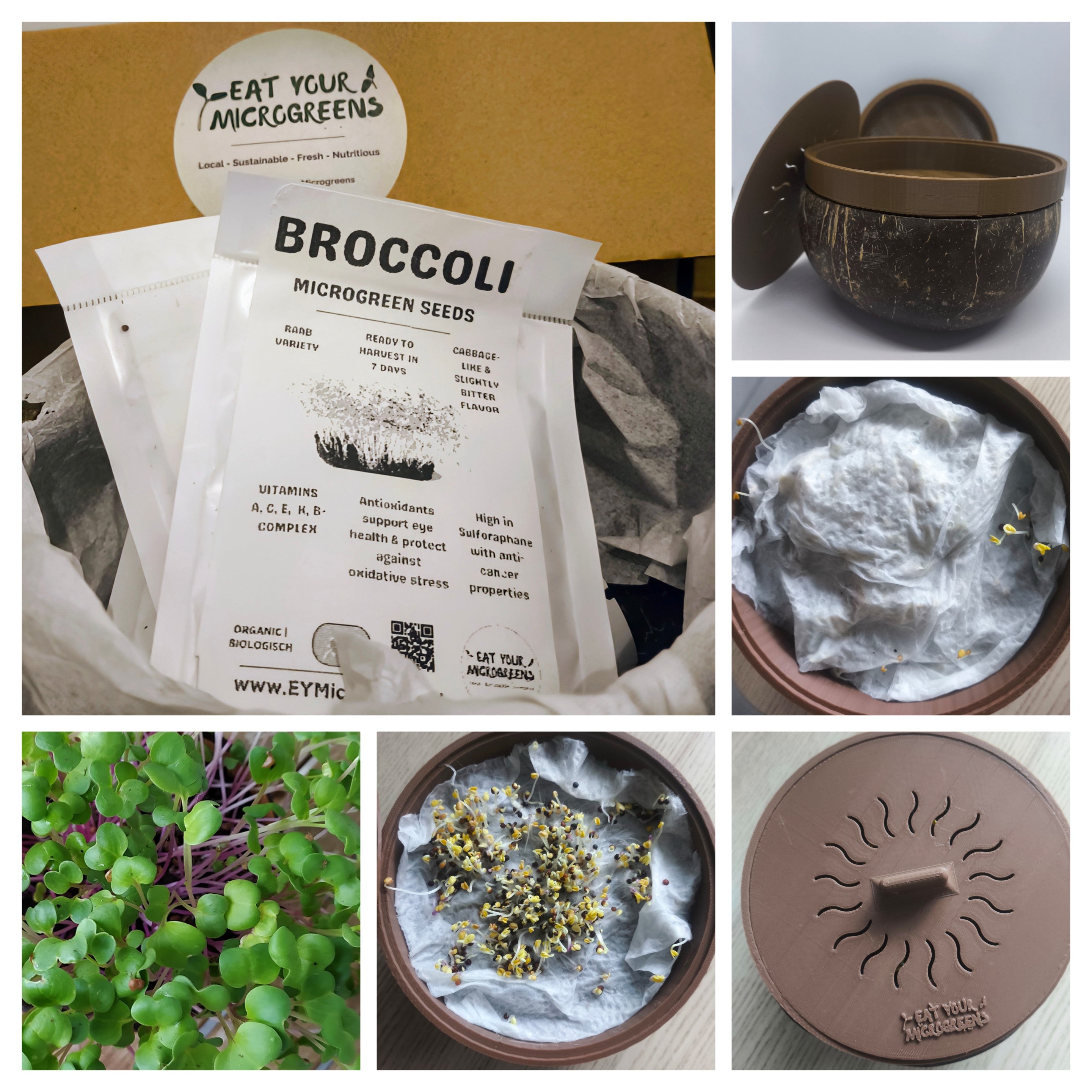 5+ Coconut Fiber Microgreens Coconut Grow Kit V2 – Eat Your Microgreens