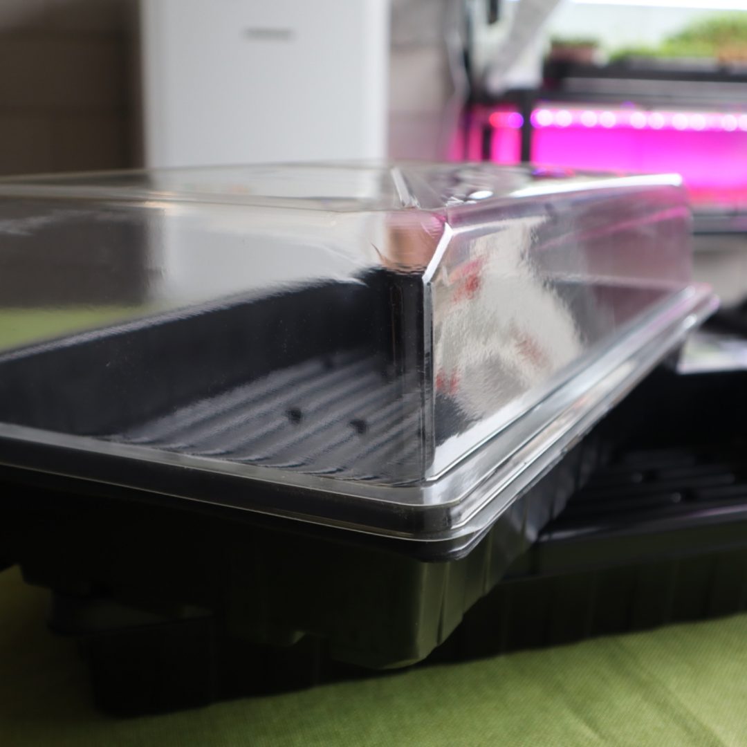 1020 Deep Trays | 1, 5, 10, or 20 Pieces | with holes or without holes