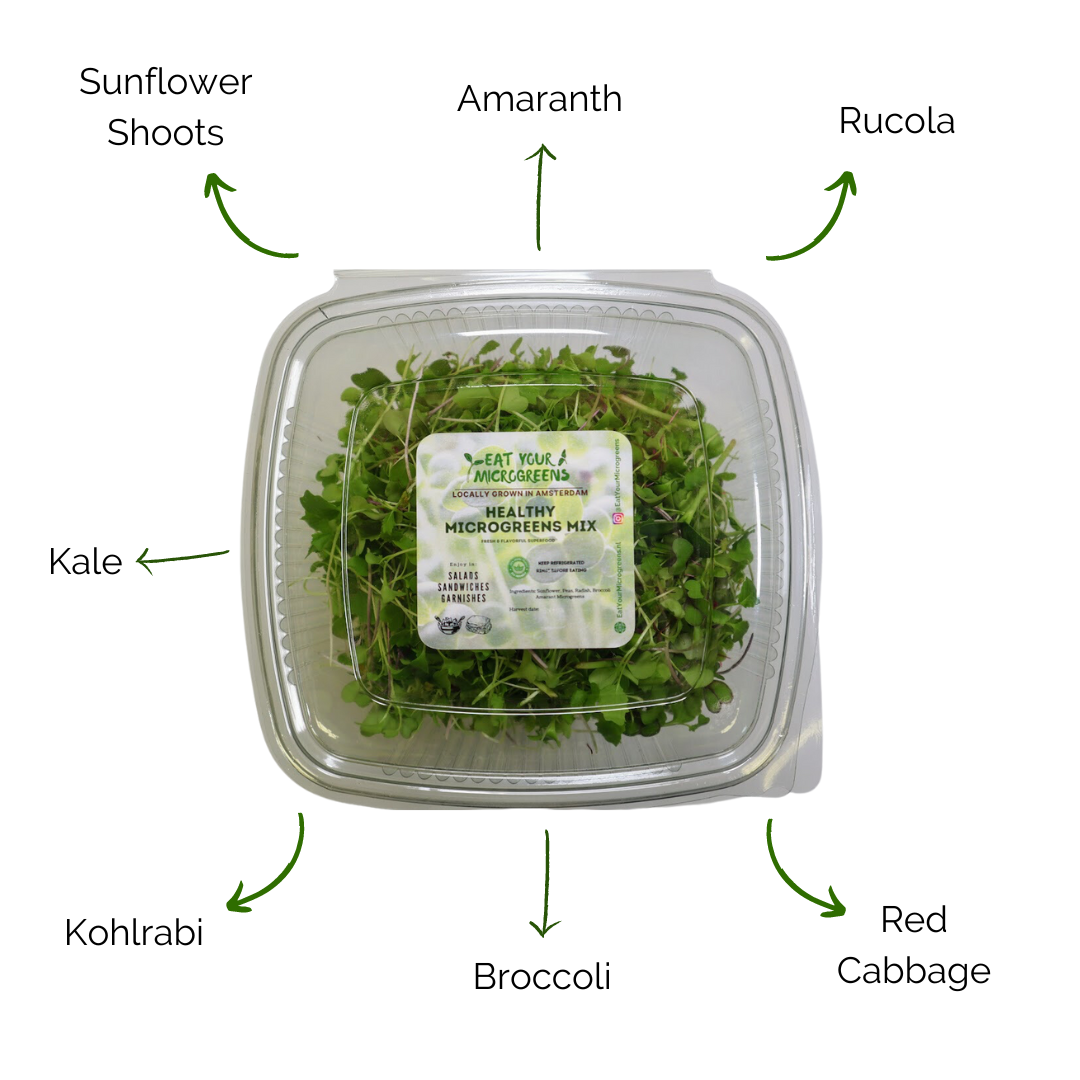 Healthy Salad Microgreens Mix - 3 sizes
