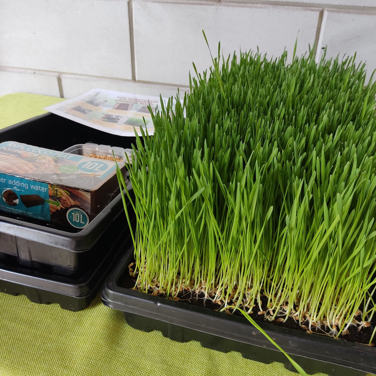 1020 DEEP Tray Set - Build Your Own Microgreen Kit