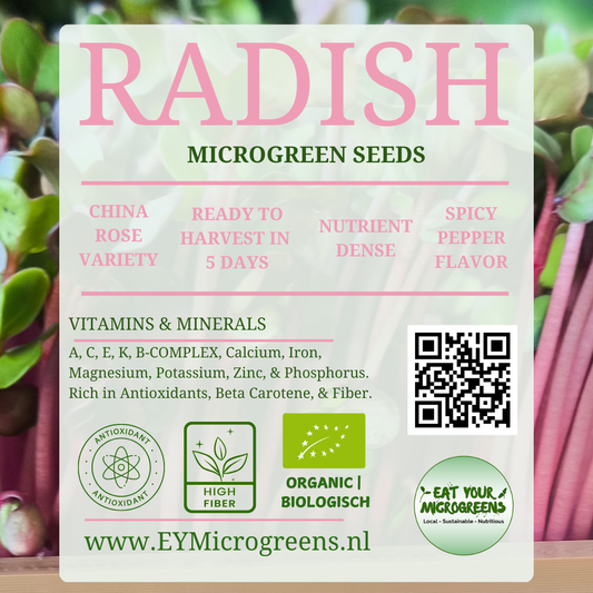 Radish | China Rose