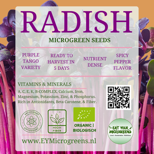 Radish | Purple Tango