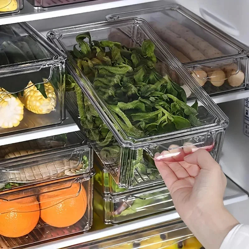 Fridge Storage Container with Lids | Clear Containers for Vegetable, Fruit, Microgreens Pantry Kitchen Refrigerator
