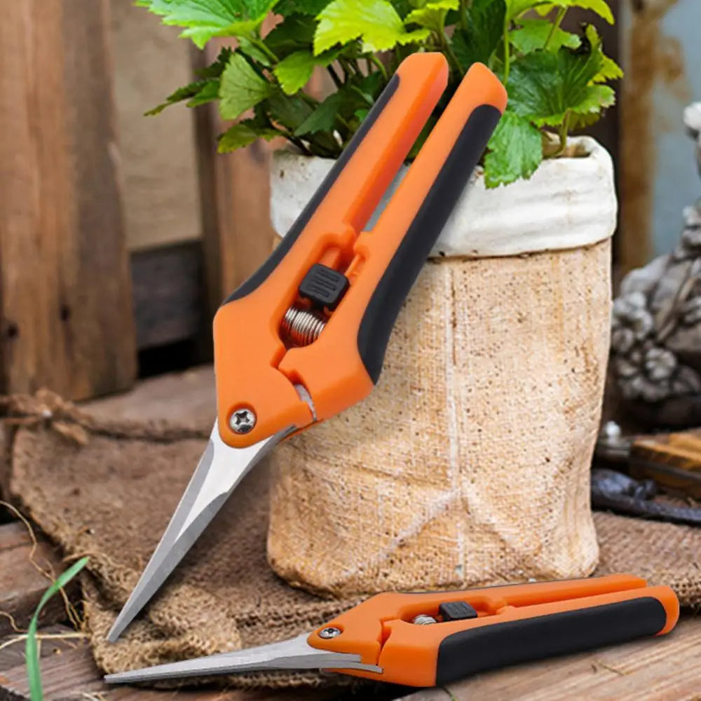 Microgreens Harvest Shears Scissors - Stainless Steel