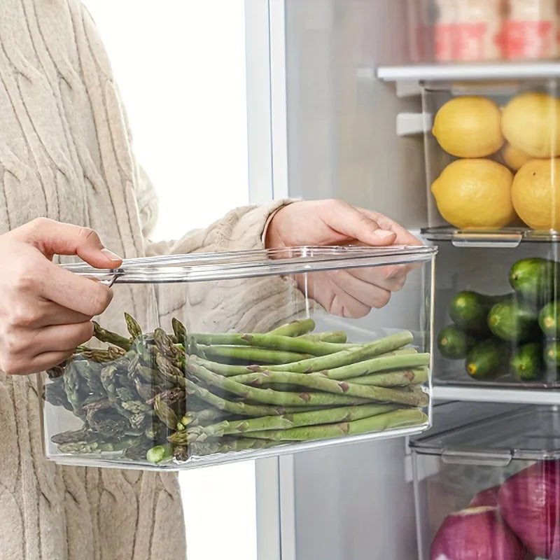 Fridge Storage Container with Lids | Clear Containers for Vegetable, Fruit, Microgreens Pantry Kitchen Refrigerator