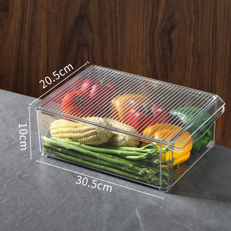 Fridge Storage Container with Lids | Clear Containers for Vegetable, Fruit, Microgreens Pantry Kitchen Refrigerator