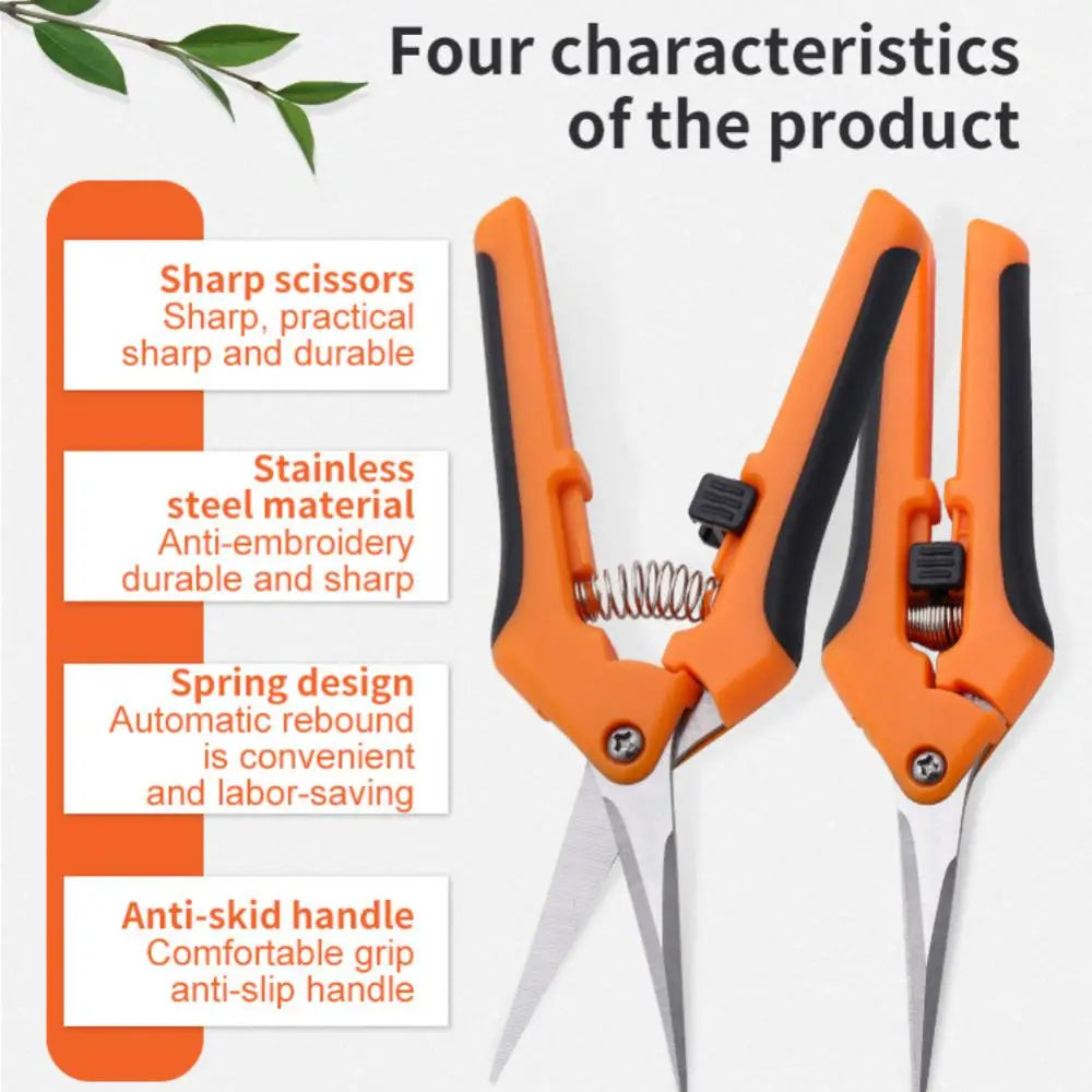 Microgreens Harvest Shears Scissors - Stainless Steel