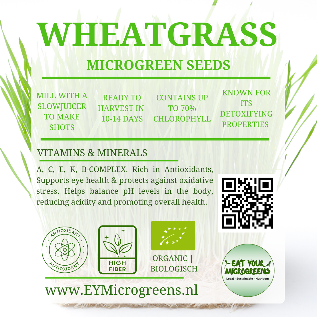 Wheatgrass Seeds