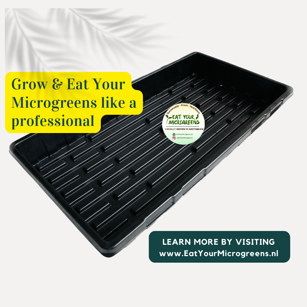 1020 Deep Trays | 1, 5, 10, or 20 Pieces | with holes or without holes