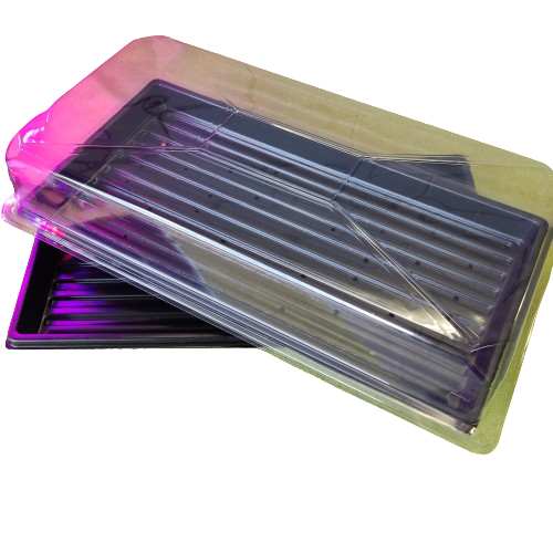 π±π₯€ Microgreens Entrepreneur | Wheatgrass Elixir Kit π±π₯€