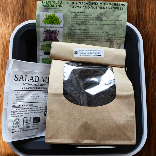 Why Microgreens Fit the Future of Urban Food