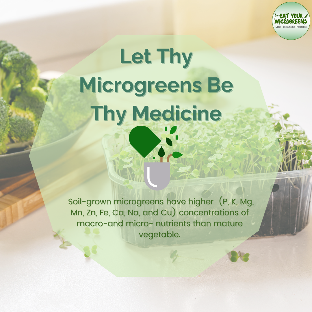 Let Micro Let Thy Microgreens Be Thy Medicine – Eat Your Microgreens