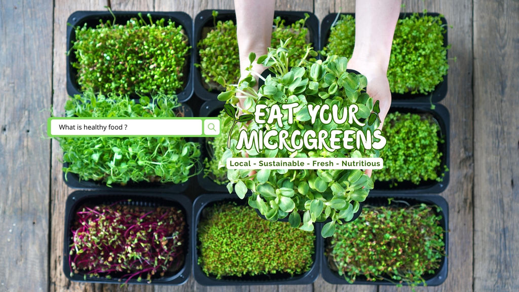 The Mighty Microgreens: A Nutritional Powerhouse in a Tiny Package / De Krachtige Microgreens: Een Voedingsrijk Juweeltje in een Klein Pakketje