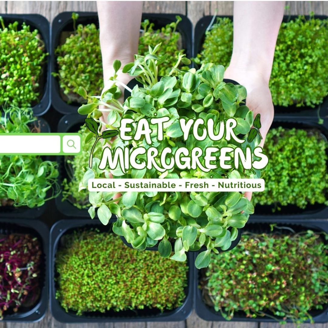 Fresh Microgreens