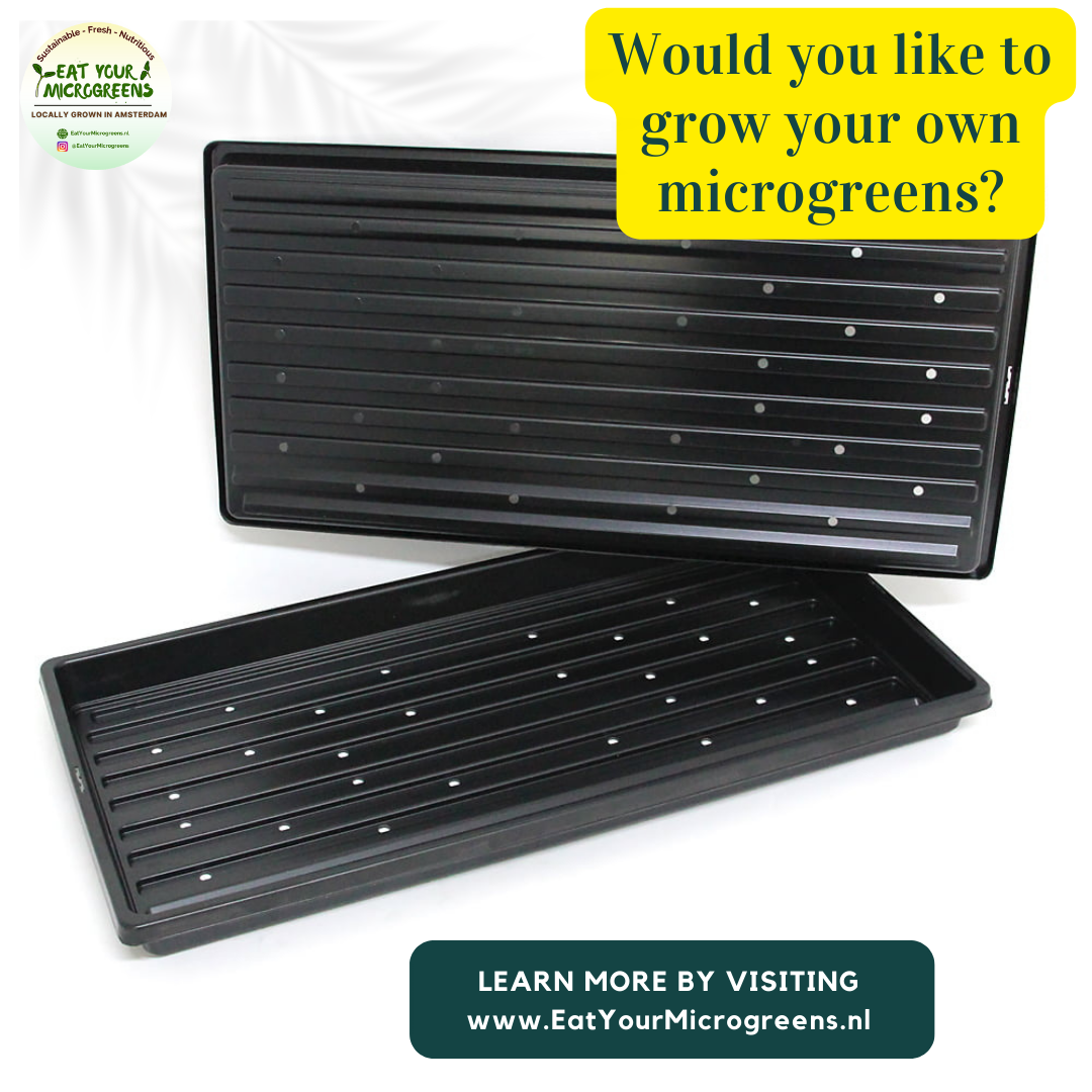 1020 Microgreen Shallow Grow Tray (gaten of geen gaten) - 3 mm dik, extra duurzaam