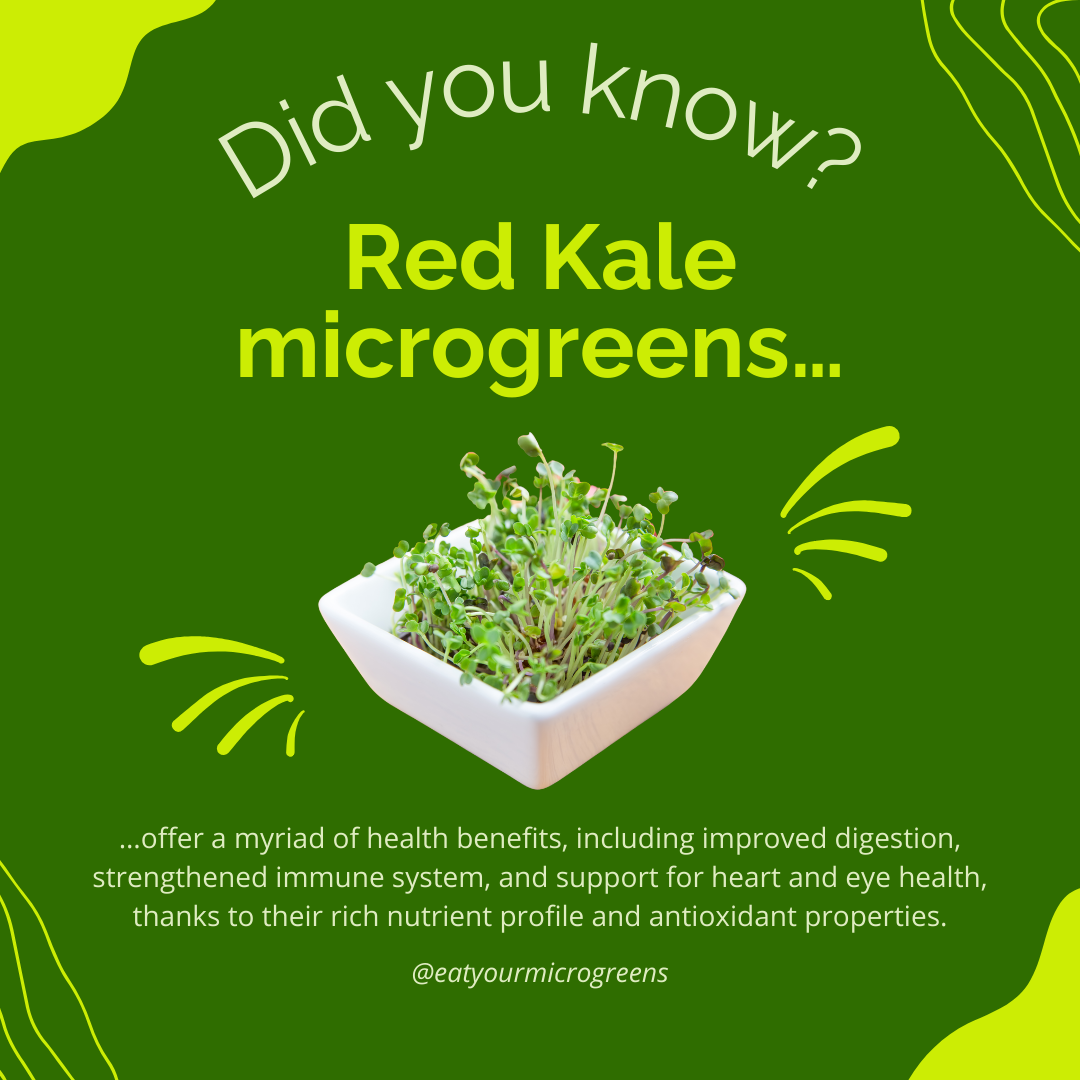 Wählen Sie Ihre eigenen Microgreen-Samen
