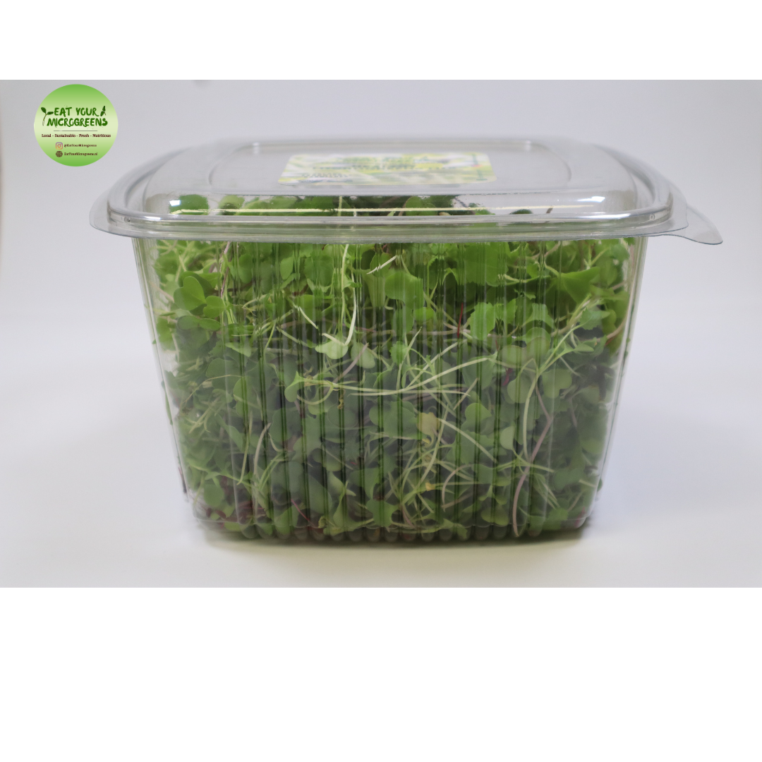 Healthy Salad Microgreens Mix - 3 sizes