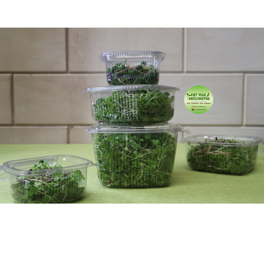 Pittige Salade Microgreens Mix - 3 Maten