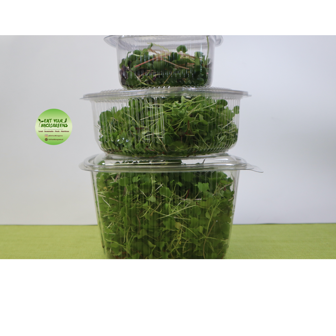 Gezonde Salade Microgreens Mix - 3 maten