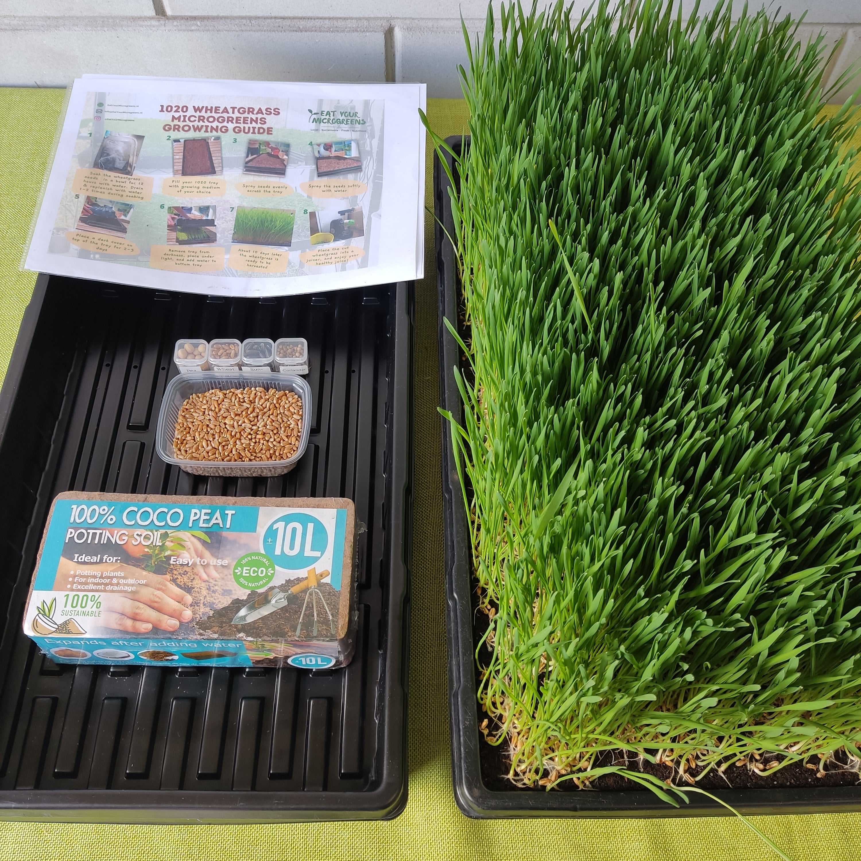 18+ Best Microgreen Soil Mix Eat Your Microgreens