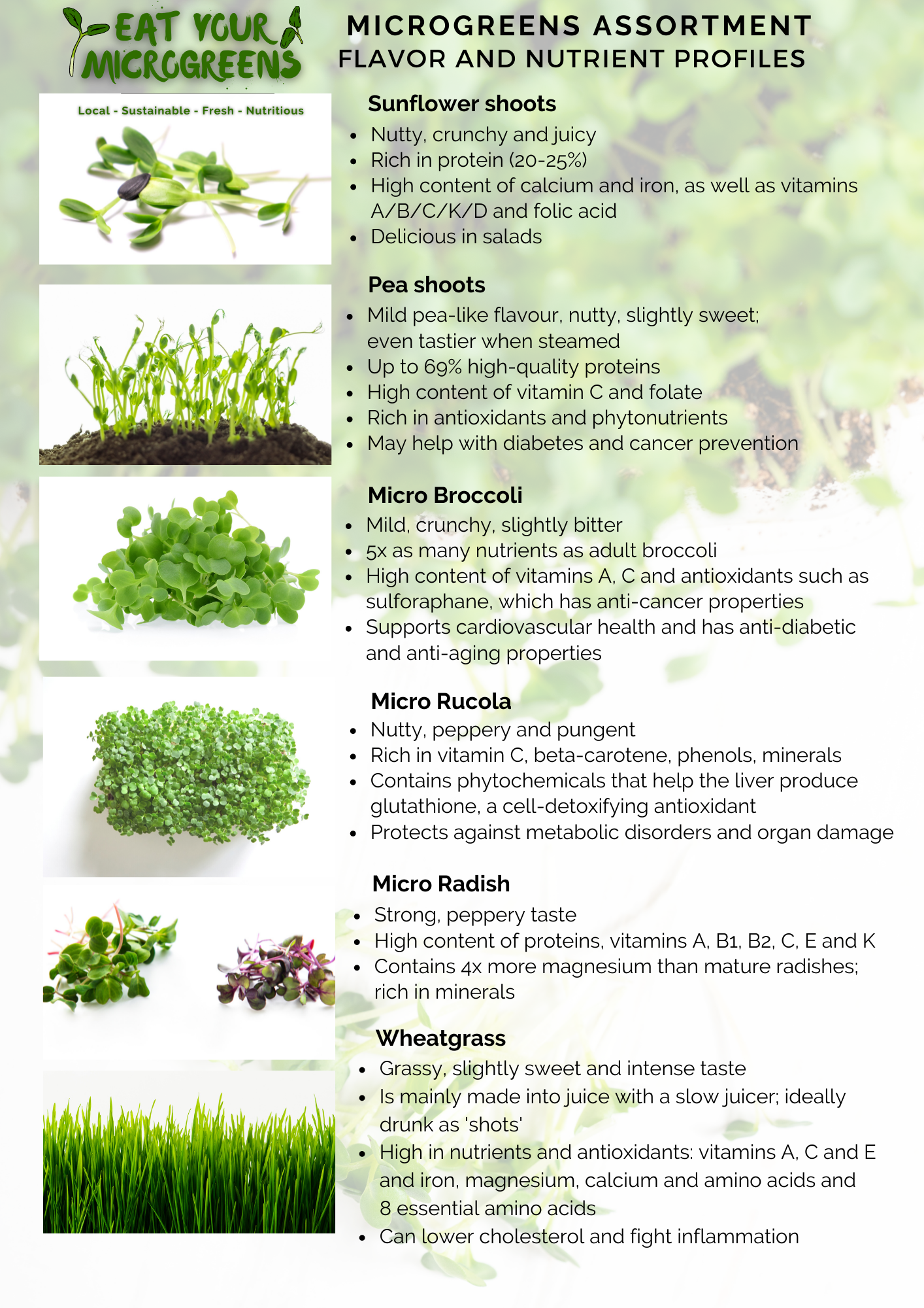 Broccoli Microgreens