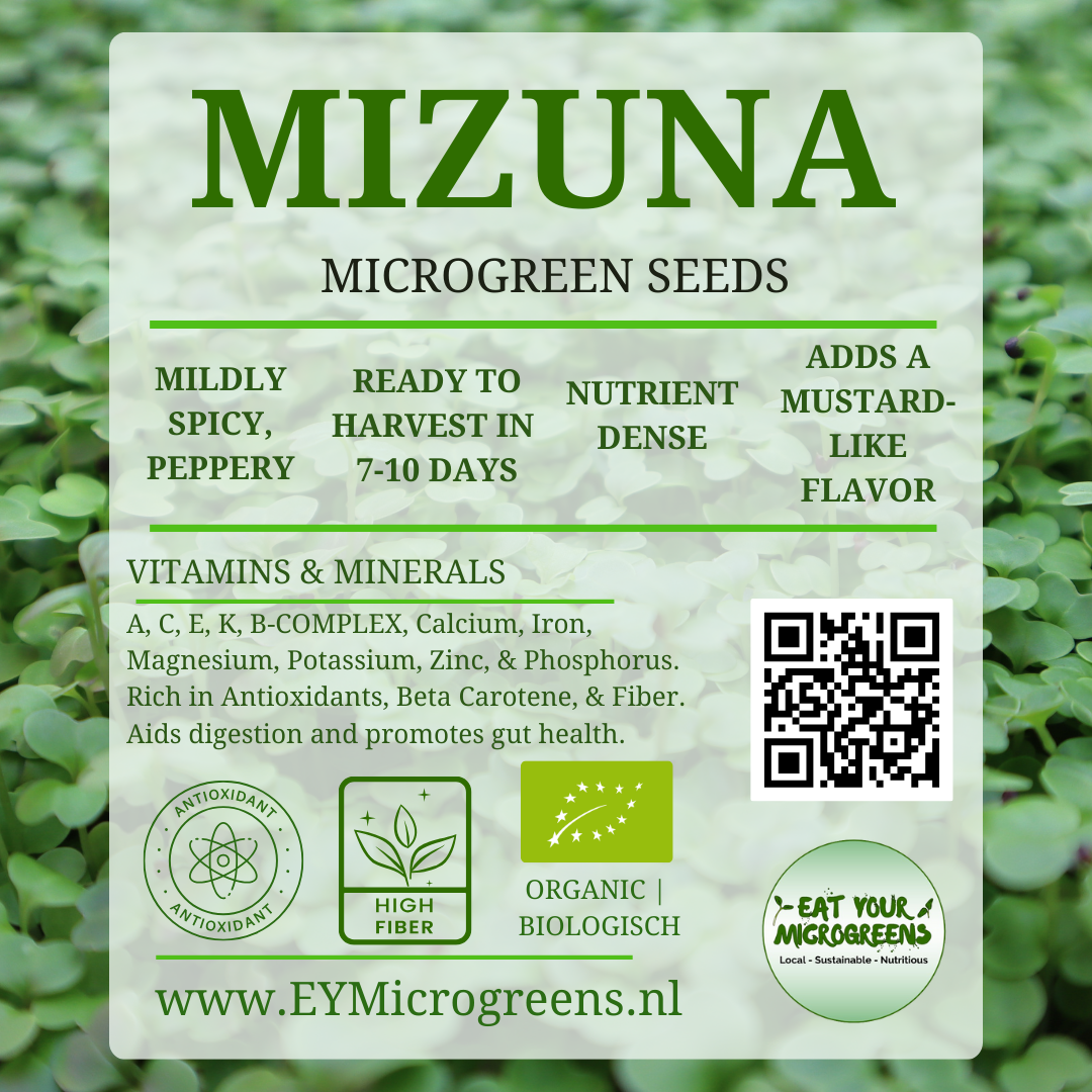 Mizuna Seeds