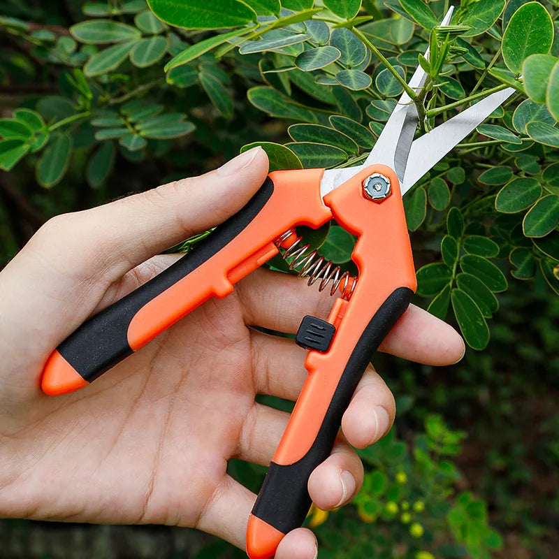 Tuin Snoeischaar Rechte Mes Scharen Huishoudelijke Blad Ingemaakte Tak Snoeischaar Roestvrij Staal Elleboog Gesneden Gereedschappen Voor Struiktrimmer