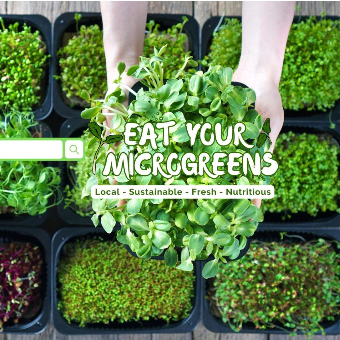 Microgreen Integrated Farm – Bauen Sie über 10 kg Lebensmittel an – Stärken Sie sich selbst, Ihre Familie und die Gemeinschaft