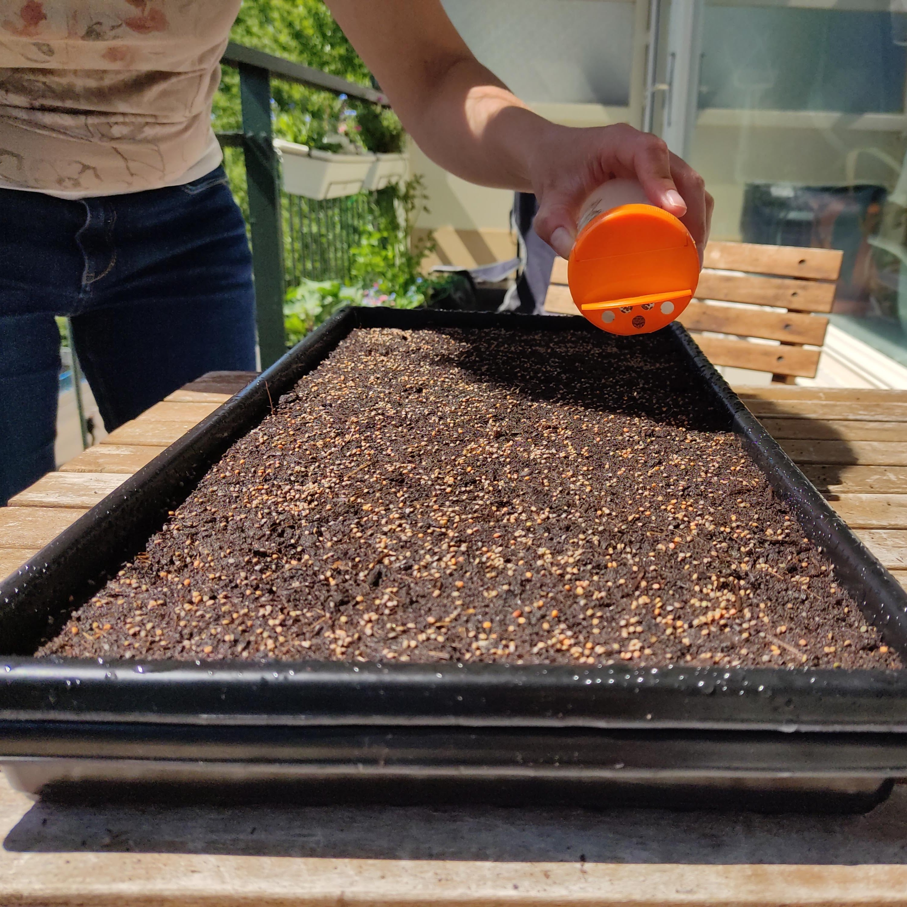 Choose Your Own Microgreen Seeds