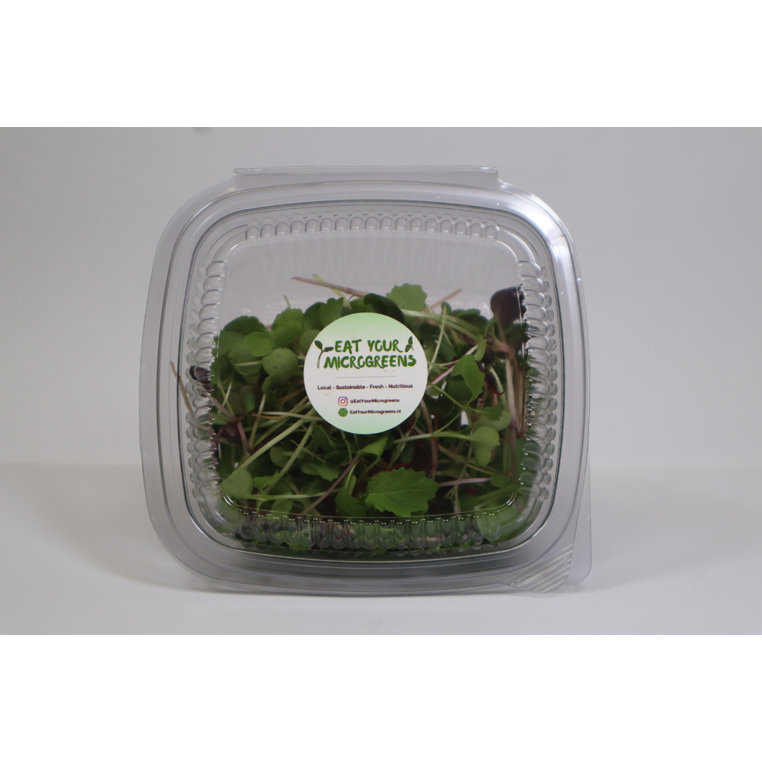 Würziger Salat-Microgreens-Mix – 3 Größen